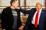 USA Elections 2024, Donald Trump shares, donald trump s praise for musk s starlink, Mukesh