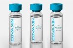 Covaxin, EUL for Covaxin by WHO, who delays the eul decision on covaxin, Covax