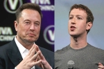 Elon Musk Vs Mark Zuckerberg new updates, Elon Musk, elon musk vs mark zuckerberg rivalry, Tech giants