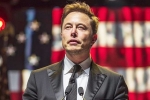Trump about musk, Musk reply on social media, is elon musk in the trump cabinet, Most likely