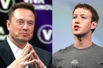 Elon Musk and Mark Zuckerberg, Elon Musk and Mark Zuckerberg news, elon vs zuckerberg mma fight ahead, Tech giants