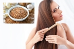 Flaxseeds hair health, Flaxseeds breaking news, how flaxseeds can help for a long and healthy hair, Cakes