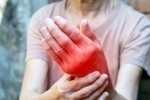 Foods for Inflammation breaking, Foods for Inflammation tips, magical indian superfoods to fight inflammation, Animal