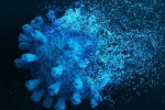 Gene Variant Coronavirus help, Gene Variant Coronavirus updates, researchers identify gene variant that protects against coronavirus, Jennifer