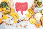 Good Gut Health  food, Good Gut Health news, how to maintain good gut health, Good gut health