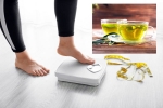 Green Tea for Weight loss, Green Tea for Weight loss news, can consuming green tea really help in weight loss, Green tea for weight loss