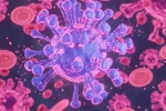 HMPV Virus case breaking, HMPV Virus case symptoms, first hmpv virus case detected in india s bengaluru, Hmpv