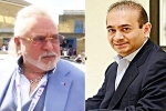 Indian Fugitives to extradite, Indian Fugitives to extradite breaking, five fugitives india is trying to extradite, Nirav modi