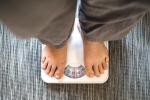 Jaggery Vs Honey, Jaggery Vs Honey articles, jaggery vs honey which is better for weightloss, Weightloss