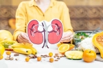 Kidneys Health experts, Kidneys Health tips, how to keep your kidneys healthy, Chocolate