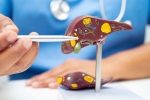 Liver Health news, Liver Health breaking, factors that worsens your liver health, Holi