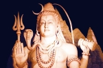 Mahashivaratri 2025 time, Mahashivaratri 2025 celebrations, mahashivaratri 2025 rashi wise predictions, Turmeric