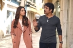Manmadhudu 2 rating, Manmadhudu 2 Movie Tweets, manmadhudu 2 movie review rating story cast and crew, Avanthika