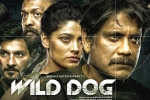Nagarjuna, Matinee Entertainment, release date of nag s wild dog is out, Wild dog