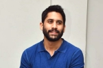 Naga Chaitanya, Naga Chaitanya breaking news, change of plans for naga chaitanya, Nandini reddy