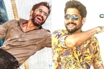 Naga Chaitanya birthday looks, Naga Chaitanya, naga chaitanya gearing up with two films, D day posters