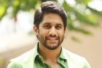 Naga Chaitanya updates, Naga Chaitanya updates, naga chaitanya signs his next, Savyasachi