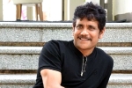 Nagarjuna 100th film, Nagarjuna new movies, nagarjuna s 100th film will be a multi starrer, Wild dog