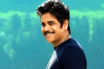 Dhanush, Nagarjuna and Rashmika Mandanna news, nagarjuna s surprise in dhanush s film, Dhanush