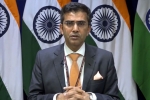 mea statement on paksitan, pakistan terror groups raveesh kumar., mea naya pakistan with naya soch should show naya action against terrorist groups, Abhinandan varthaman