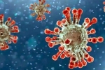 China, India coronavirus, new china coronavirus variant traced in india, Health minister