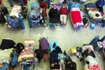 China Medical Emergency latest, China Medical Emergency latest, new outbreak of viruses in china, Nani