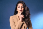 Pooja Hegde upcoming films, Pooja Hegde 2024, pooja hegde lines up bollywood films, Valentine