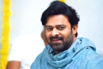 Pooja Hegde, Prabhas next movie, prabhas jaan delayed further, Weightloss