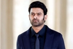 Prabhas upcoming films, Prabhas pan Indian film, new updates of prabhas and maruthi film, Boman irani