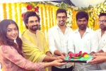 Rashmika Mandanna new film, Rashmika Mandanna breaking updates, rashmika signs a women centric attempt, Amala akkineni