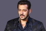 salman khan marriage, salman khan birthday, audience s love respect matter more than stardom salman khan, Salman khan birthday