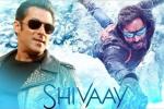 Ajay Devgn, Salman Khan latest, salman khan to promote shivaay, Big boss