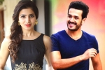 Samantha movies, Samantha next project, samantha and akhil to clash in august, Bollywood films