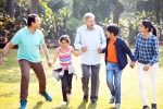 Sandwich Generation's Finance structure, Sandwich Generation's Finance news, all about sandwich generation s finance, Pants