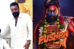 Mythri Movie Makers, Pushpa: The Rule budget, sanjay dutt s surprise in pushpa the rule, Running