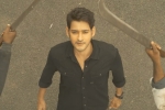 Anil Ravipudi, Sarileru Neekevvaru news, mahesh babu s sarileru neekevvaru trailer review, Sarileru neekevvaru trailer