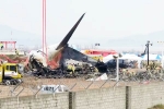 South Korea Plane Crash deaths, South Korea Plane Crash reason, pilot made mayday call and mentioned bird strike in south korea plane crash, Kidding
