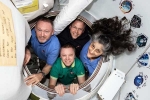 Sunita Williams space, Sunita Williams SpaceX, spacex crew dragon docks to reach sunita williams, Clothing