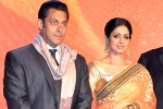 Salman Khan updates, Salman Khan, sridevi to work with salman khan, English vinglish