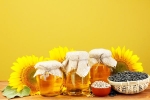 Sunflower Oil new updates, Sunflower Oil experts advise, long term effects of consuming sunflower oil on heart health, Diets
