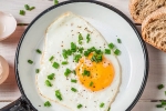 weight, healthy, top 5 benefits of eggs that ll make you to eat them every day, World egg day