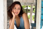 Triptii Dimri, Triptii Dimri latest breaking, triptii dimri is eager to sign hollywood films, Vidya balan