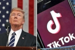 India, US, after india us may consider ban of chinese apps, Tik tok