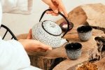 Wellness Tea breaking updates, Wellness Tea latest, can wellness tea help with weight loss and belly fat, Nri