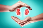 World Kidney Day 2025 to be taken, World Kidney Day 2025 tips, world kidney day 2025 theme and health tips, Obesity