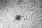 Mars, spider on Mars, yards long spider on mars nasa, Candice
