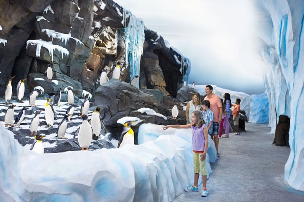 Marine based zoological park-Sea World