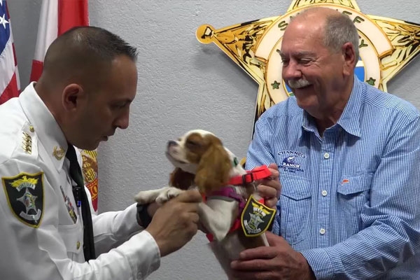 Dog attacked and rescued from alligator honored as “Deputy Dog”