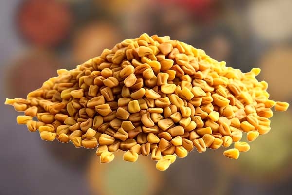 Advantages of Fenugreek Seeds in hair growth